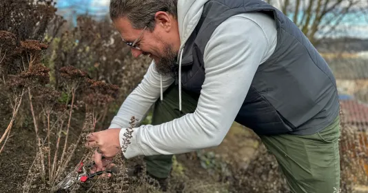 Podzimní střih trvalek Náhled