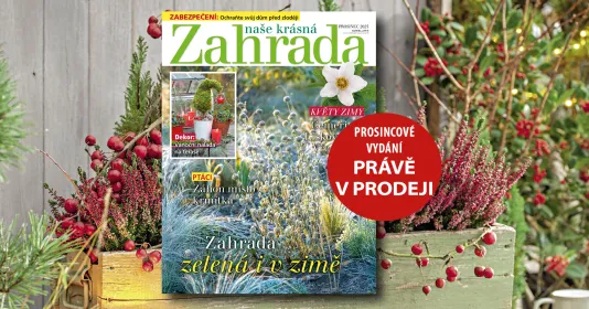 Naše krásná zahrada prosinec 2025 Náhled