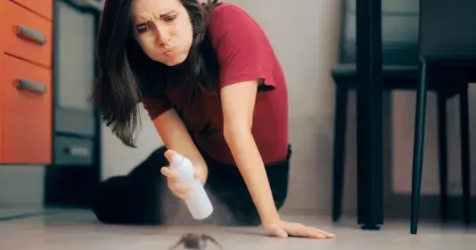 Buďte hodní a pavouky v bytě hned nezabíjejte