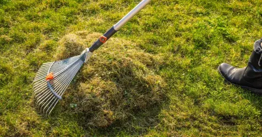 Mech v trávníku odstraníte vertikutací, provzdušněním a správnou podzimní péčí