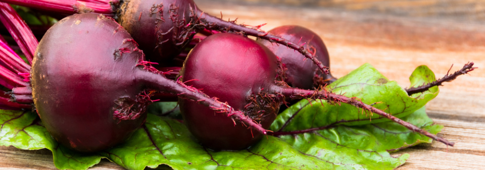 Červená řepa (Beta vulgaris) 