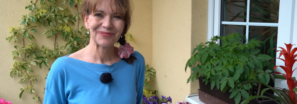 Balkonová zahrada M. Dolinové