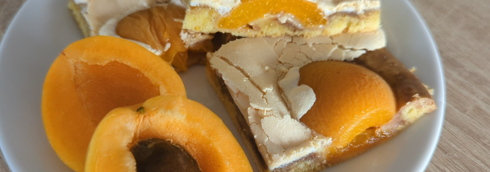 Recept na meruňkové řezy