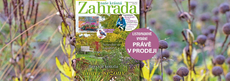 Naše krásná zahrada listopad 2025
