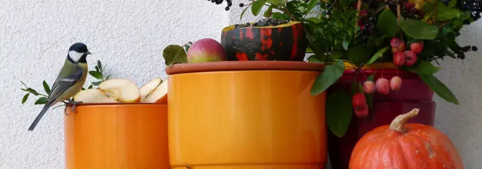 ptačí krmítko DIY