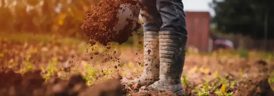 Rytí záhonů na podzim