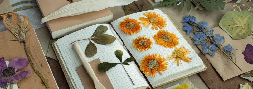 Jak založit herbář