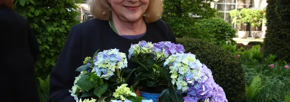 Zahrada Ivy Hüttnerové