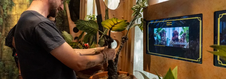 Pěstování mandragory