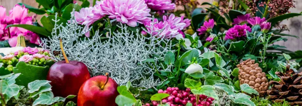 Mrazuvzdorné truhlíky 