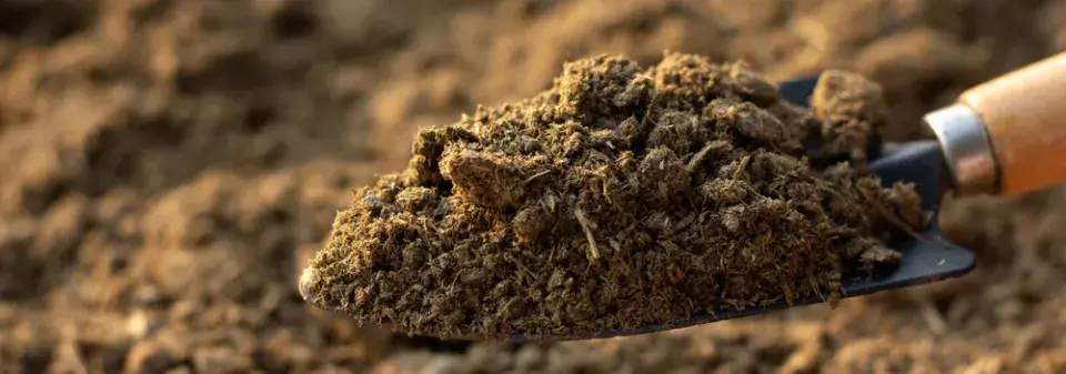 Rašelinu v zahradě nahraďte kompostem