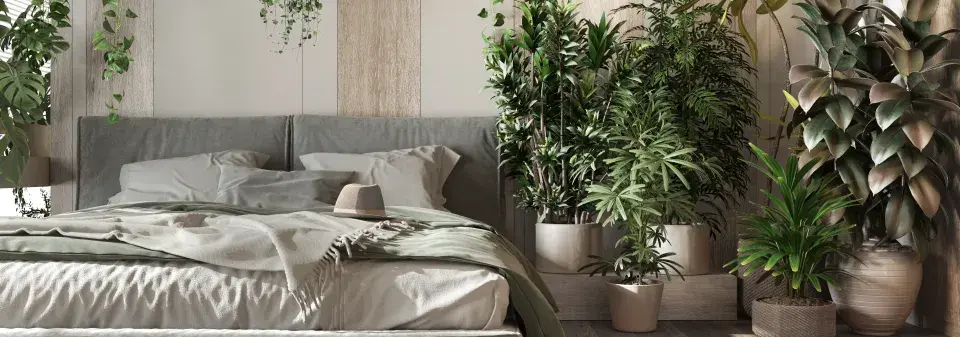Rostliny do ložnice