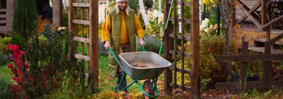 Zahradní katastrofy v listopadu 