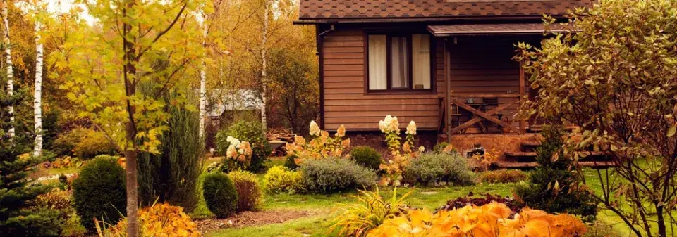 podzimní barvy v zahradě