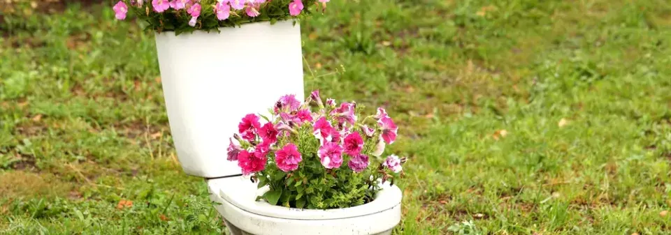 Světový den toalet