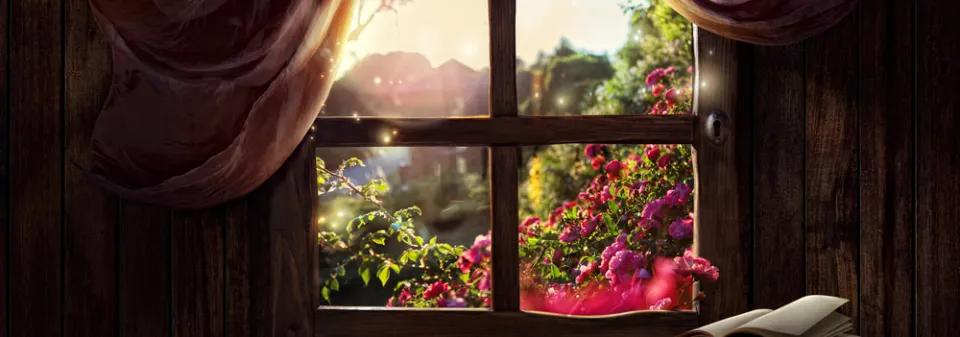 Okno do zahrady