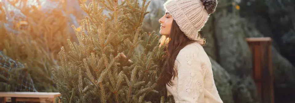 Vánoční stromeček