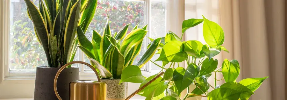 Orosená okna budou minulostí