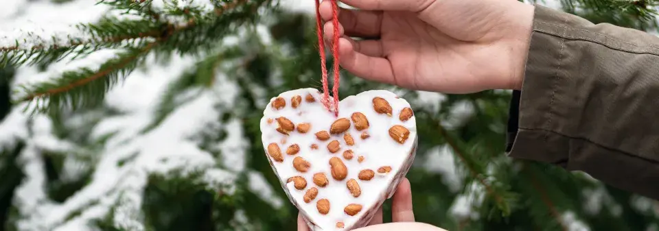 Vánoční krmítka pro ptáky