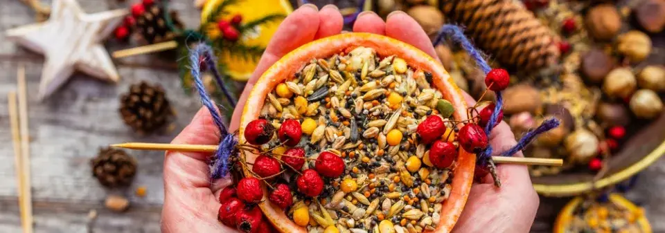 krmítko z pomeranče