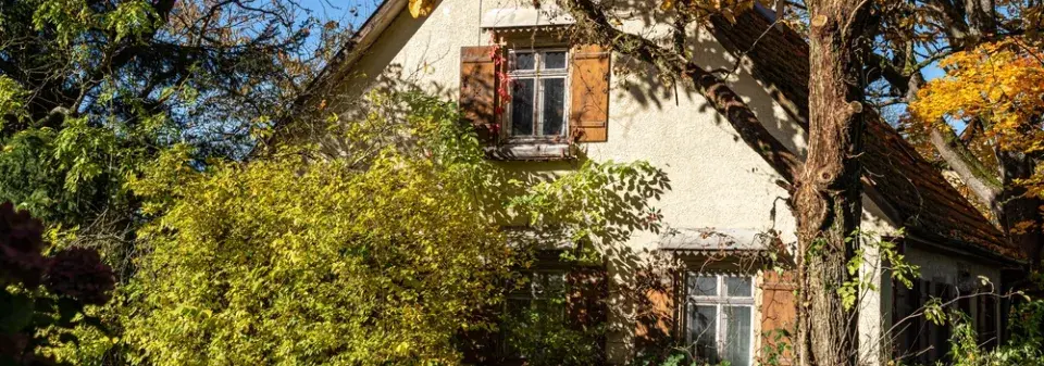 Novinky z pohledu zákonů