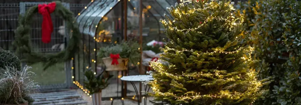 Jak odekorovat zahradu před Vánocemi?