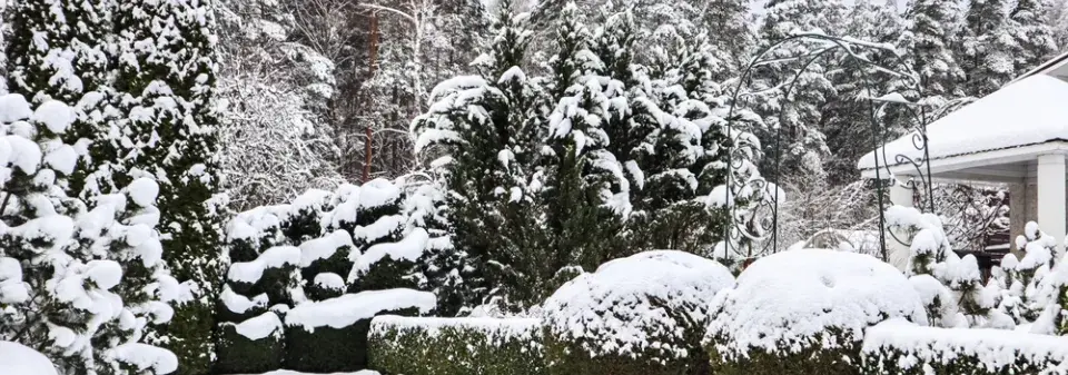 Krásy zimní zahrady