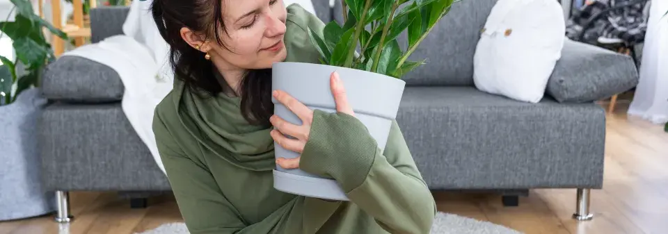 Otáčení pokojovek v zimě