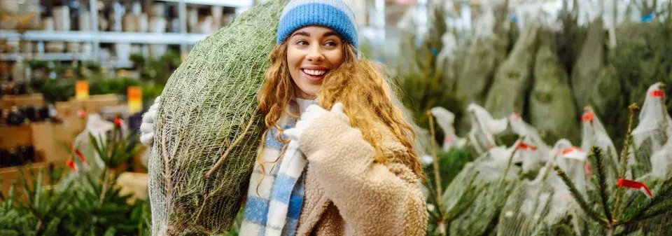 Jak vybrat vánoční stromek