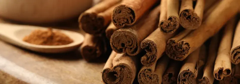 Skořice jako vánoční koření