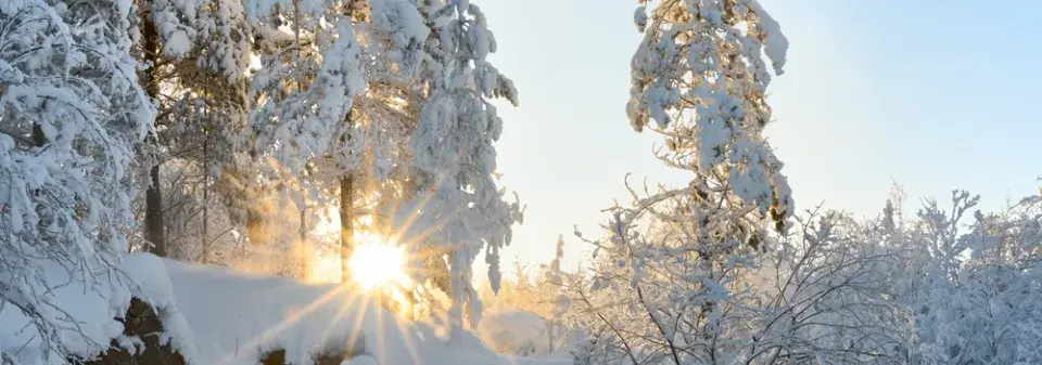 Zimní slunovrat je období, kdy začíná skutečná zima