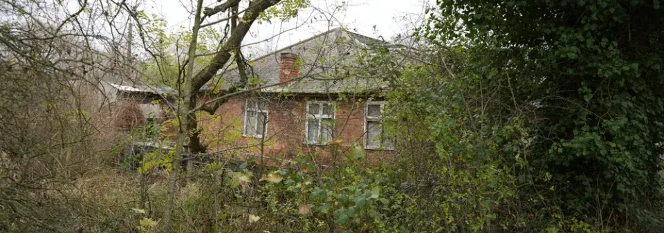 Sestřih zdivočelých okrasných keřů