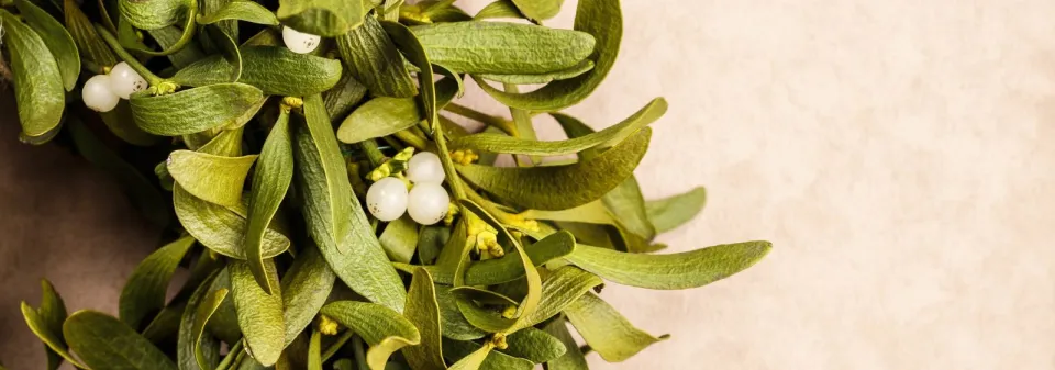 Vánoční věnec na dveře 