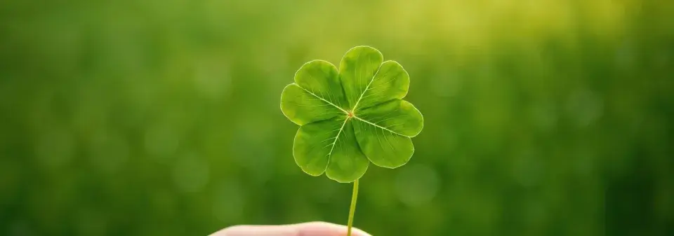 Rostliny pro štěstí