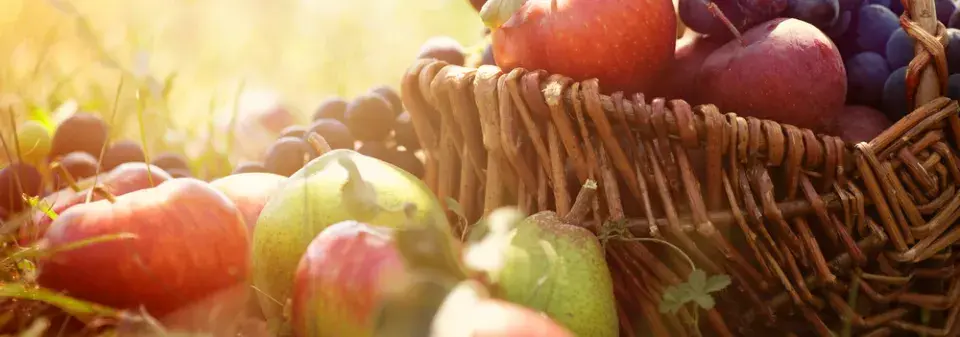 Řez ovocných stromů: Jabloně a hrušně 