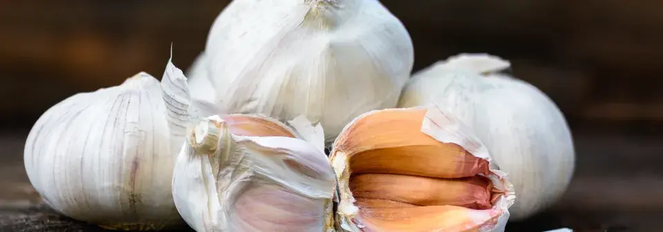 Vliv česneku na rostliny