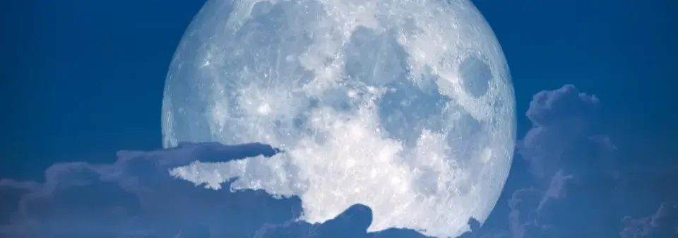 Sněžný úplněk ve Lvu