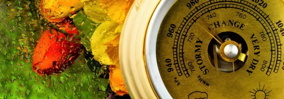 Přírodní barometr 