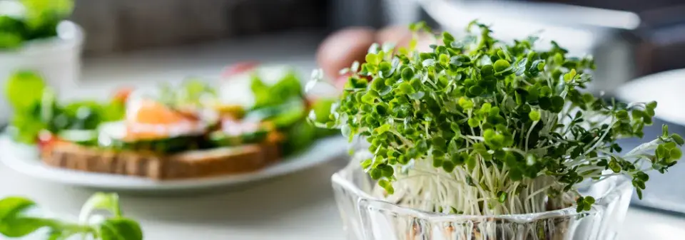Microgreens 