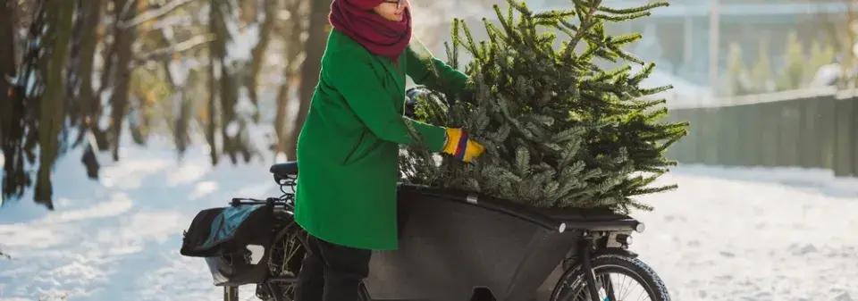 Vánoční stromeček