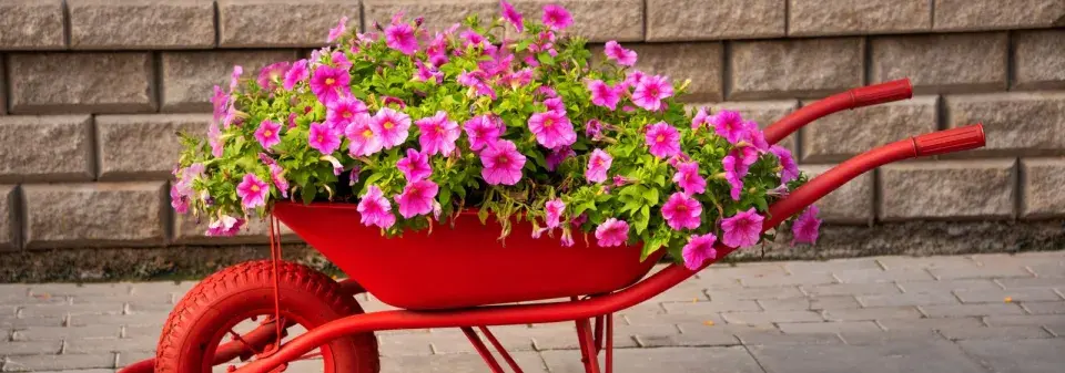 Zahradní dekorace za hubičku 