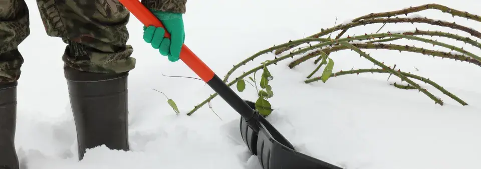 Využití sněhu v zahradě