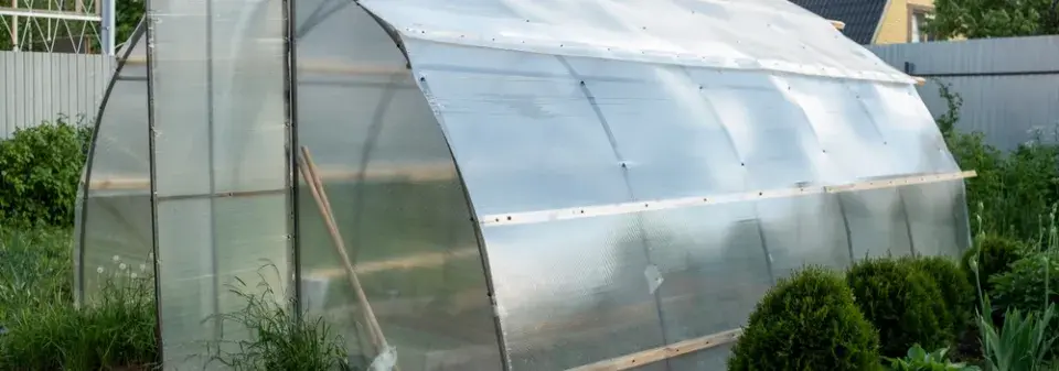 Příprava skleníku na pěstování zeleniny