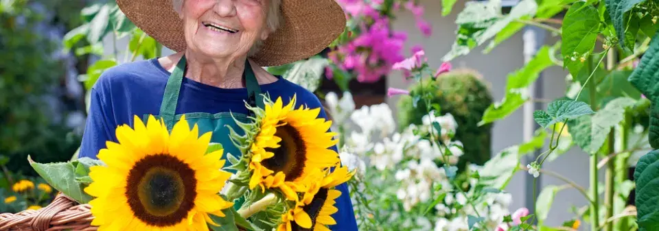 Pěstování zeleniny