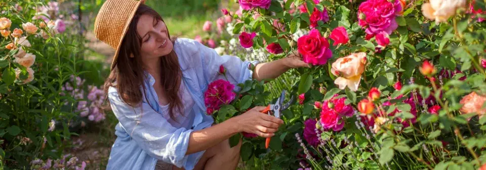 Růžová zahrada, kterou ale zdaleka netvoří jen růže