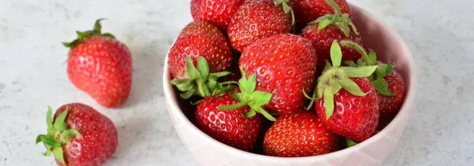 Výsev jahod ze semen je překvapivě snadný a bude bavit i děti