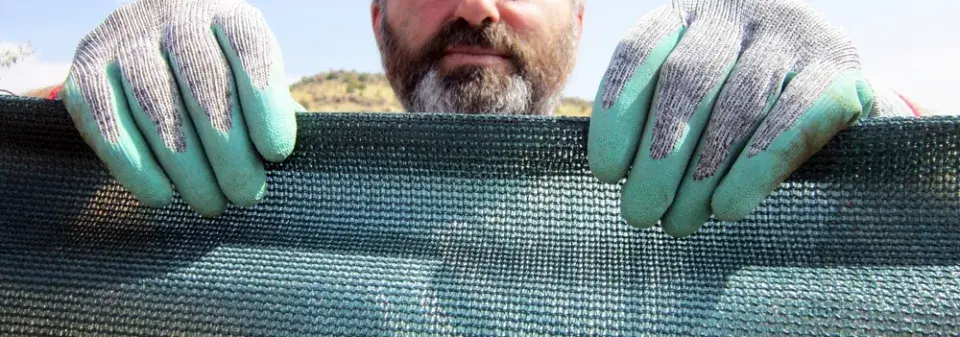 Stínovky v zahradě