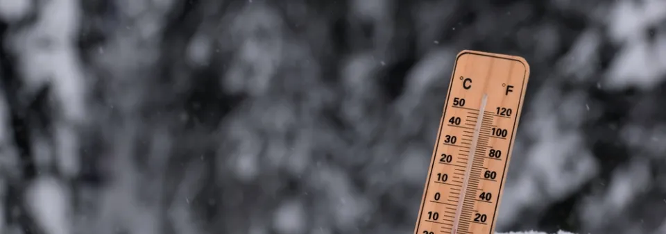 Víkendové počasí vás nemusí mrzet. Vyrazte do přírody nebo na výstavy