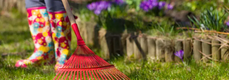 Co na zahradě dělat jako první, když sleze sníh a půda povolí?