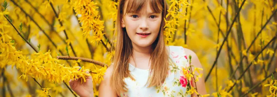 Nejkrásnější jarní keř zlatice